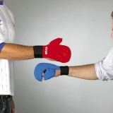 Kwon Karate Handschutz - mit Daumenschlaufe CE